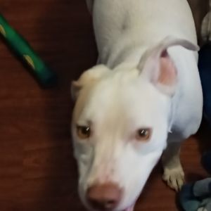 Meet your Posher, Nicki